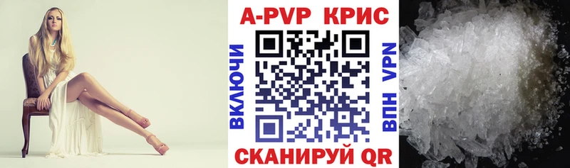 Alfa_PVP СК Заринск