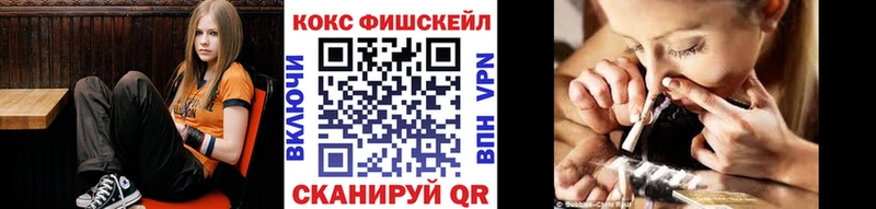COCAIN Fish Scale  shop состав  Заринск  как найти  