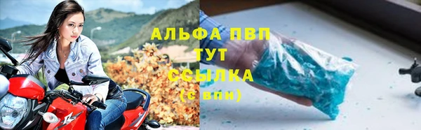 бошки Белокуриха