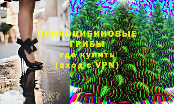 бошки Белокуриха