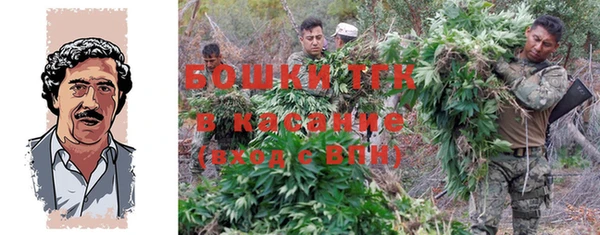 бошки Белокуриха